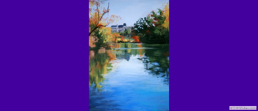 Reflections of Biltmore